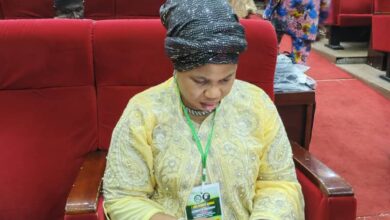 The Chairman of Odeda Local Government, Folasade Adeyemo