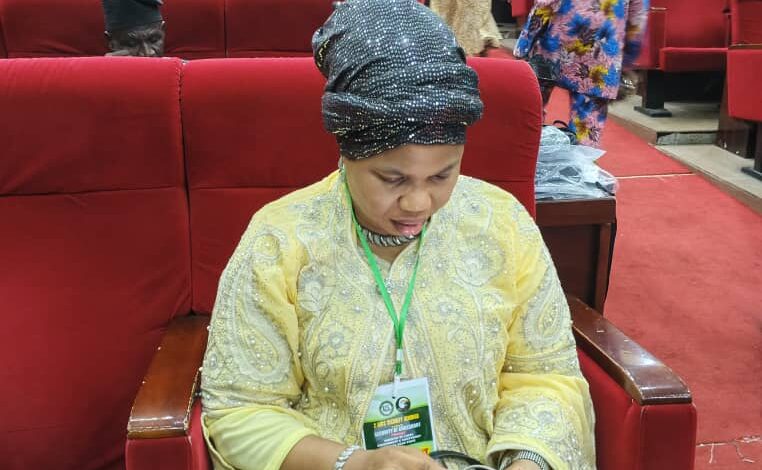The Chairman of Odeda Local Government, Folasade Adeyemo